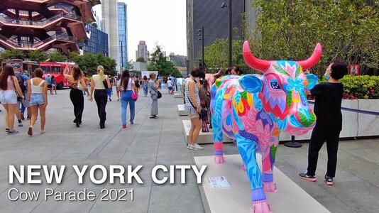 maxsdefault.jpg maxsdefault.jpg