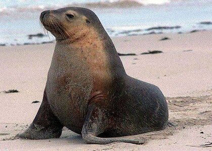 images - 2023-06-05T111325.376.jpeg