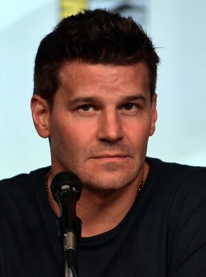 800px-David_Boreanaz_Comic-Con_2012.jpg