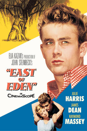 images - 2023-06-06T111859.830.jpeg