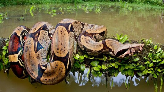 images - 2023-06-07T070727.728.jpeg