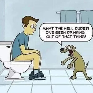 img_1_1686468105072 (1).jpg