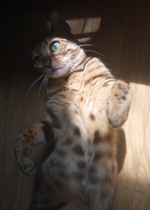 IMG_20230522_095119 copy 3.jpg