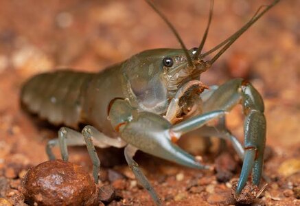 images - 2023-06-16T134005.179.jpeg