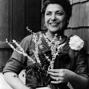 images - 2023-06-18T005849.967.jpeg