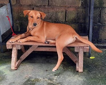 images - 2023-06-19T012249.070.jpeg