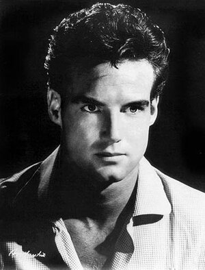 images - 2023-06-21T061725.687.jpeg