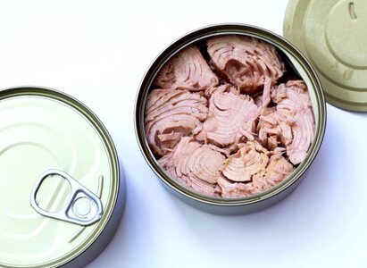 canned-tuna.jpg
