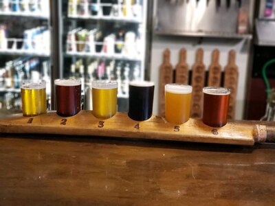 beer sampler on cricket bat.jpg