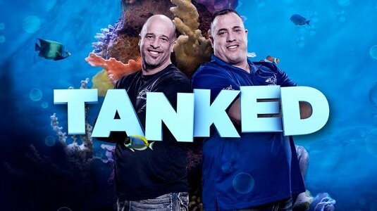 images - 2023-06-25T052746.294.jpeg