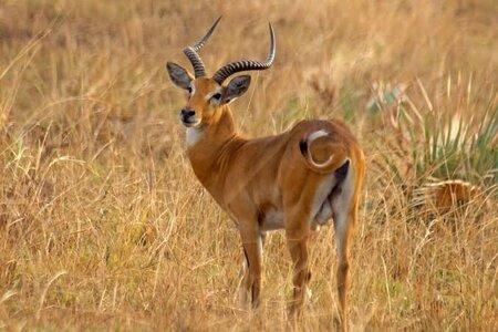 images - 2023-06-25T142750.983.jpeg