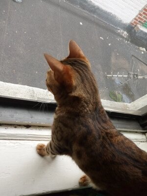 IMG_20230626_100458.jpg IMG_20230626_100458.jpg