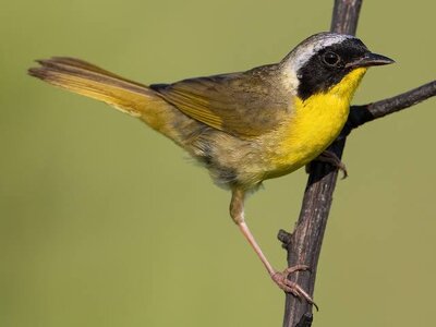 images - 2023-07-02T025511.269.jpeg