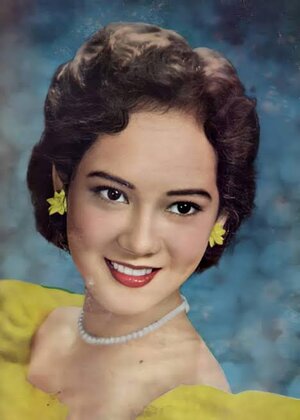 images - 2023-07-04T012849.205.jpeg