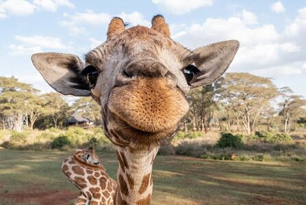 images - 2023-07-04T200251.414.jpeg