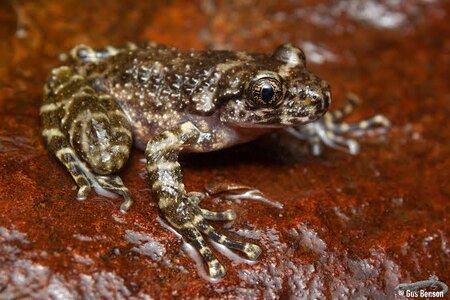 images - 2023-07-07T123150.755.jpeg