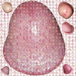 Image_1688691547382.png Image_1688691547382.png