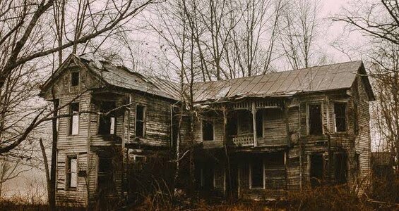 images - 2023-07-10T141338.084.jpeg