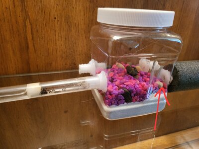 20230712_153115.jpg 20230712_153115.jpg