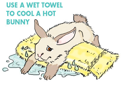 hot_weather_care_rabbits_pigs_clip_image001_0002.jpg