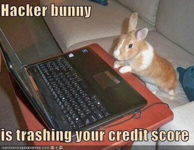 Hacker bunny.jpg