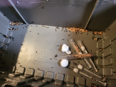 20230716_225409.jpg 20230716_225409.jpg