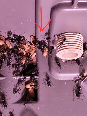 20230716_231206.jpg 20230716_231206.jpg