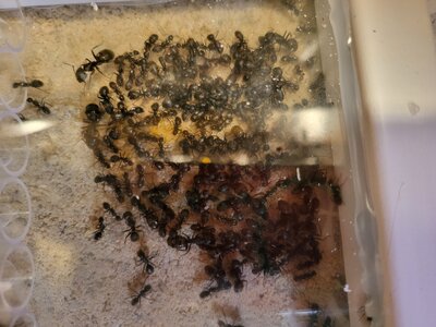 20230718_213937.jpg 20230718_213937.jpg