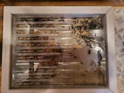 20230718_215047.jpg 20230718_215047.jpg