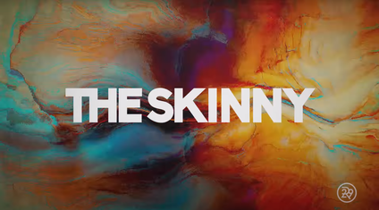 The_Skinny_web_series.png