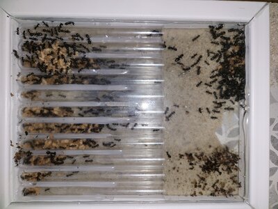 20230723_000754.jpg 20230723_000754.jpg