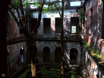 68d3a1ff-9c9b-4ff8-acc6-41871ced72d4c640740bd8659cf003_Photo 29-10-2018, 1 11 31 PM.jpg