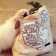 groceries.jpg groceries.jpg