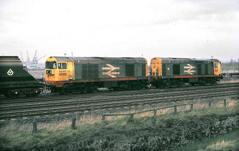 IMG_8045.jpeg IMG_8045.jpeg