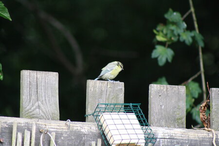 IMG_4751.JPG IMG_4751.JPG