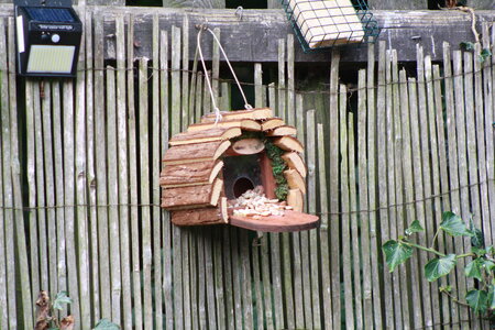 IMG_4748.JPG IMG_4748.JPG