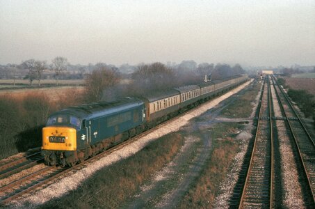 IMG_8082.jpeg IMG_8082.jpeg