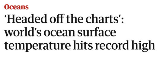 tumblr_1ca90160c706e70dea42ed156b4bca37_5daa5cb0_540.jpg tumblr_1ca90160c706e70dea42ed156b4bca37_5daa5cb0_540.jpg