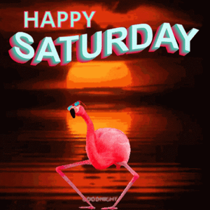 happy-saturday.gif