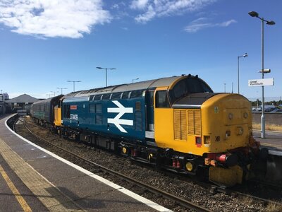 IMG_3511.jpeg IMG_3511.jpeg