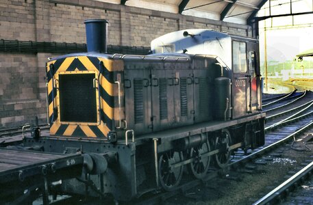 IMG_8088.jpeg IMG_8088.jpeg