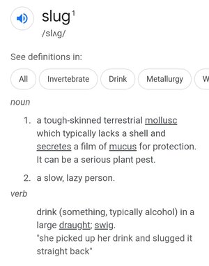 IMG_20230801_001806.jpg IMG_20230801_001806.jpg