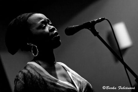 images - 2023-08-01T082429.899.jpeg