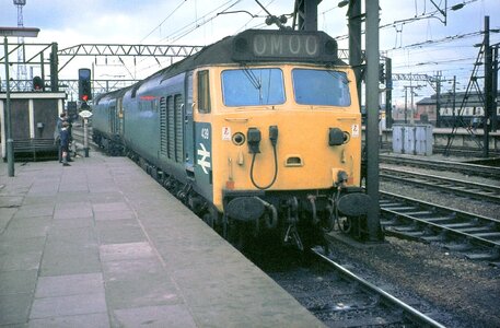 IMG_8150.jpeg IMG_8150.jpeg