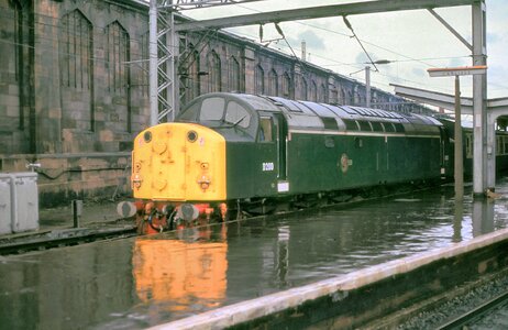 IMG_1784.jpeg IMG_1784.jpeg