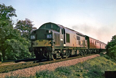 IMG_1840.jpeg IMG_1840.jpeg