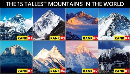 images - 2023-08-05T033209.763.jpeg