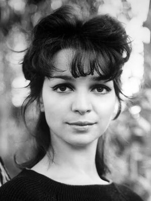 images - 2023-08-09T150156.119.jpeg