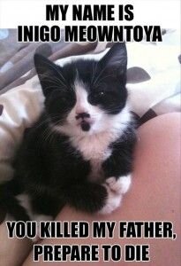 Inigo Meowntoya.jpg