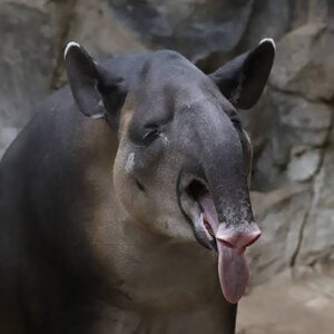 images - 2023-08-17T122337.090.jpeg